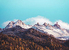 德媒：特尔施特根因伤退出巴萨沙特训练营|巴塞罗那|德国|半决赛|西班牙超级杯|毕尔巴鄂竞技_新浪体育_新浪新闻